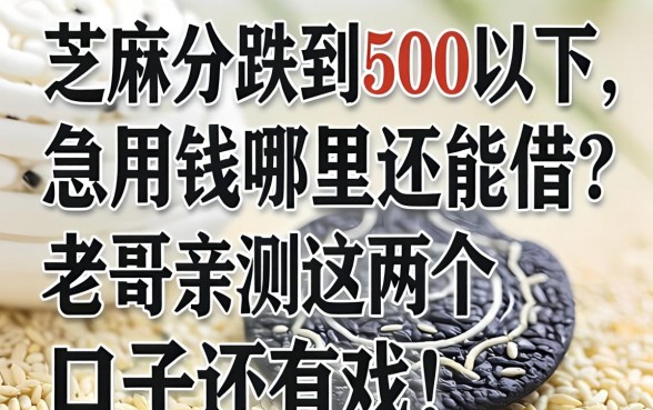 芝麻分跌到500以下，急用钱哪里还能借？老哥亲测这几个口子还有戏！