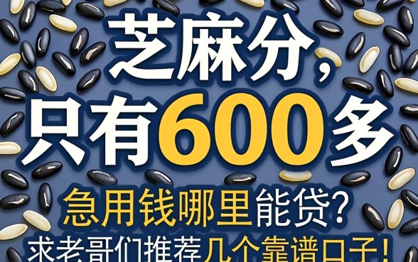 芝麻分只有600多，急用钱哪里能贷？求老哥们推荐几个靠谱口子！