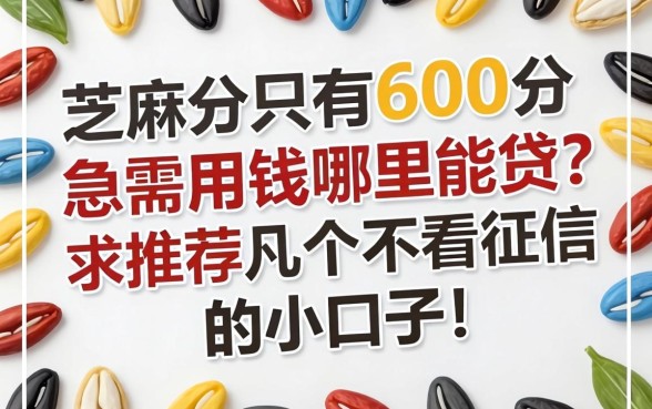 芝麻分只有600分，急需用钱哪里能贷？求推荐几个不看征信的小口子！