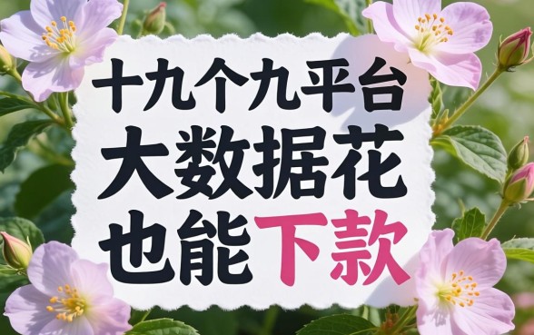 我试了十几个平台发现大数据花其实也能下款