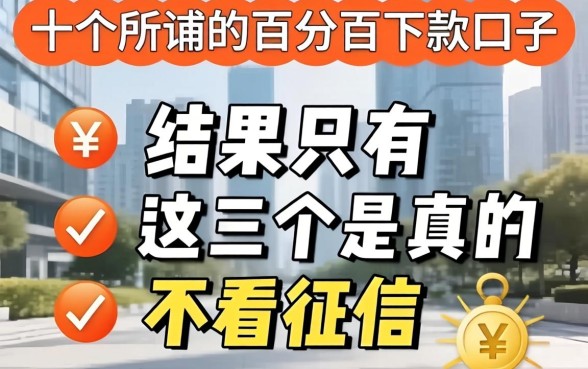 我试了十个所谓的百分百下款口子,结果只有这三个是真的不看征信