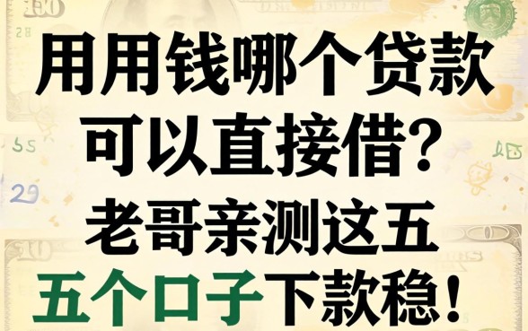 急用钱哪个贷款可以直接借?老哥亲测这五个口子下款稳!