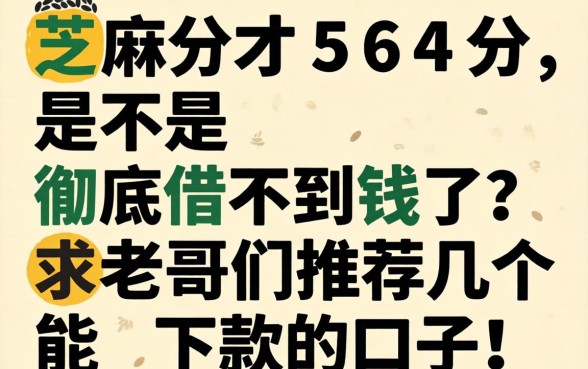 芝麻分才564分，是不是彻底借不到钱了？求老哥们推荐几个能下款的口子！