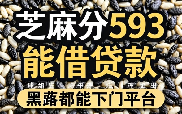 芝麻分593能借贷款，理出五个黑户都能下的平台