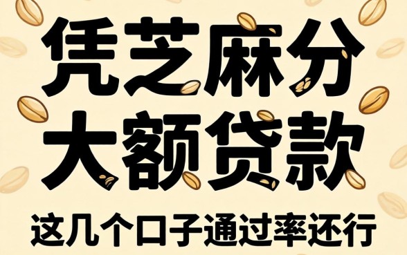 揭秘2026凭芝麻分大额贷款,这几个口子通过率还行