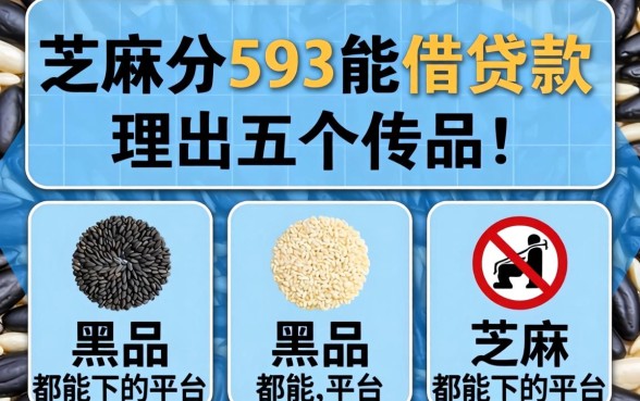 芝麻分593能借贷款，理出五个黑户都能下的平台