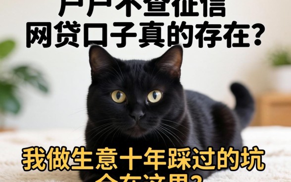 黑户不查征信的网贷口子真的存在?我做生意十年踩过的坑全在这里