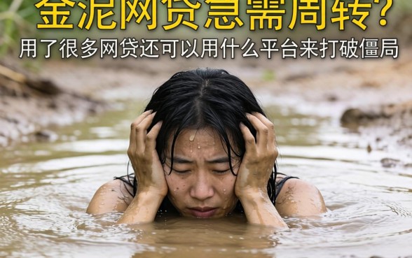 深陷网贷泥潭急需周转？用了很多网贷还可以用什么平台来打破僵局？