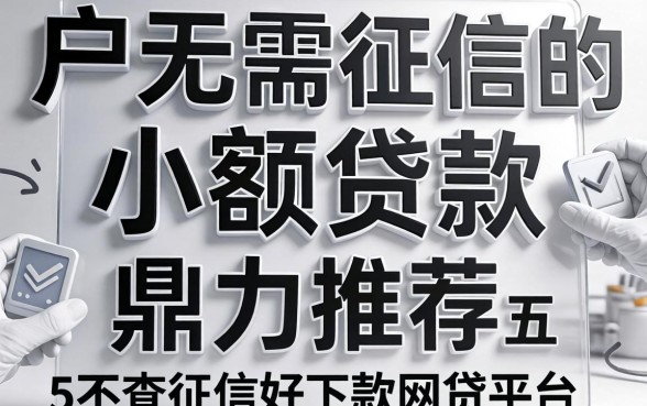 整理黑白户无需征信的小额贷款，鼎力推荐五个不查征信好下款的网贷平台