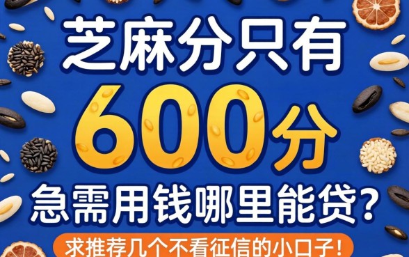 芝麻分只有600分，急需用钱哪里能贷？求推荐几个不看征信的小口子！