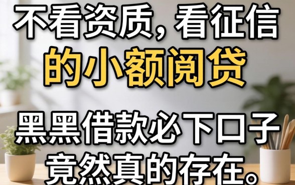 我试了那些不看资质不看征信的小额网贷，黑户借款必下口子竟然真的存在