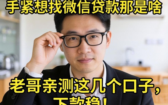 手头紧想找微信贷款那是啥？老哥亲测这几个口子，下款稳！