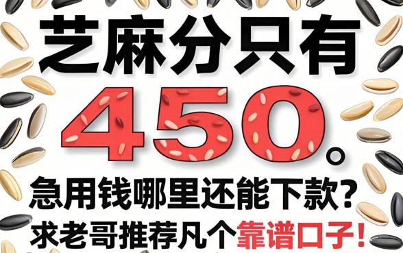 芝麻分只有450，急用钱哪里还能下款？求老哥推荐几个靠谱口子！