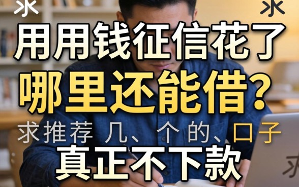 急用钱征信花了哪里还能借?求推荐几个真正不下款的口子!