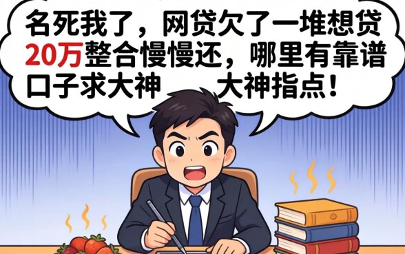 急死我了！网贷欠了一堆想贷20万整合慢慢还，哪里有靠谱口子求大神指点！