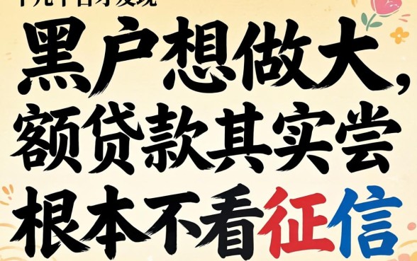 我试了十几个平台才发现，黑户想做大额贷款其实根本不看征信