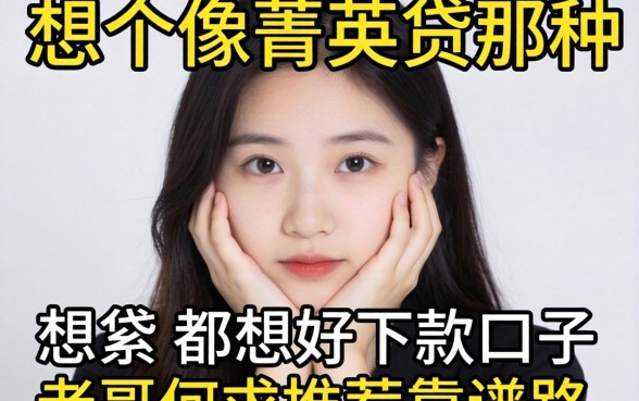 手头紧想找个像菁英贷那种好下款的口子，老哥们求推荐靠谱路子！