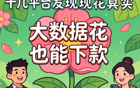 我试了十几个平台发现大数据花其实也能下款