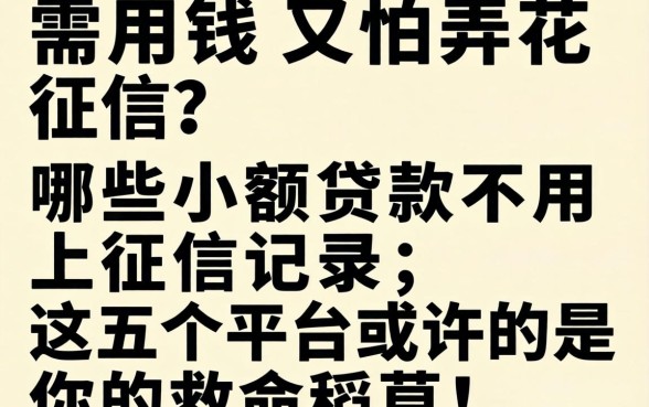 急需用钱又怕弄花征信？哪些小额贷款不用上征信记录，这五个平台或许是你的救命稻草！