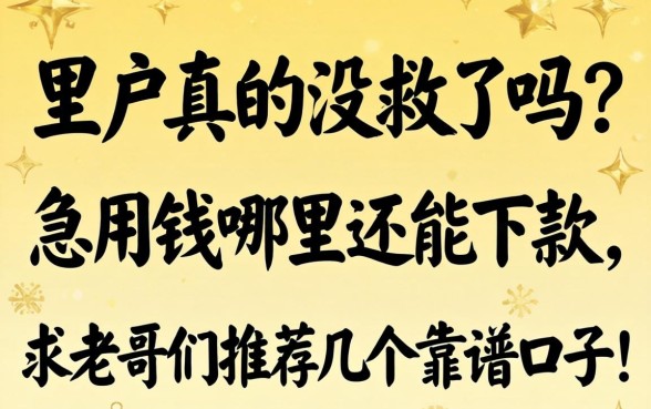 黑户真的没救了吗?急用钱哪里还能下款,求老哥们推荐几个靠谱口子!