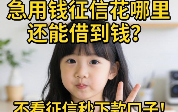 急用钱征信花哪里还能借到钱？分享五个不看征信秒下款的口子