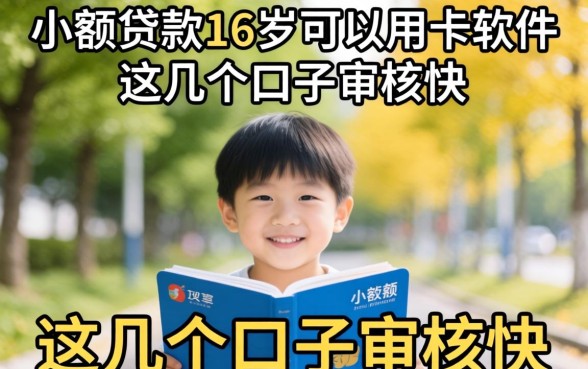 揭秘小额贷款16岁可以用的软件，这几个口子审核快