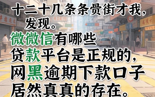 我翻了十几条街才发现，微信有哪些贷款平台是正规的，网黑逾期下款口子居然真的存在