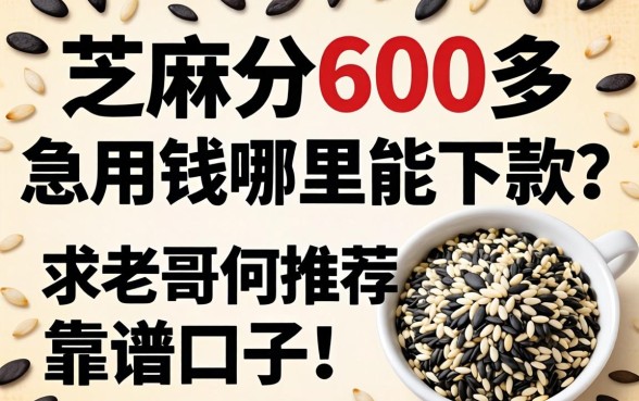 芝麻分600多,急用钱哪里能下款?求老哥们推荐几个靠谱口子!