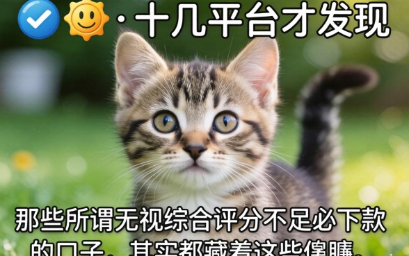 我试了十几个平台才发现,那些所谓无视综合评分不足必下款的口子,其实都藏着这些猫腻