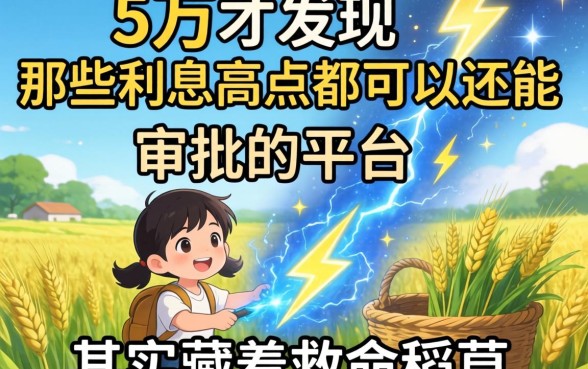 我借了5万才发现,那些利息高点都可以还能闪电审批的平台,其实藏着救命稻草