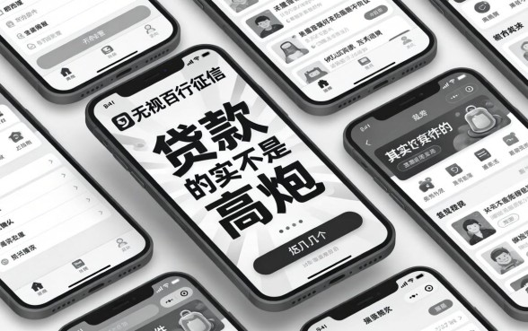 我翻遍了那些无视百行征信的网贷，发现黑白贷款不是高炮的软件其实就这几个