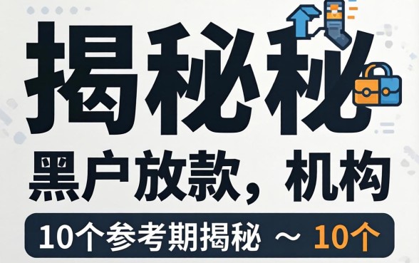 揭秘专门给黑户放款的机构有哪些，整理出这10个参考