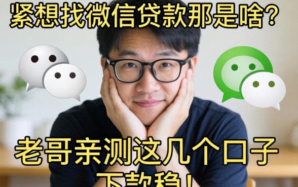手头紧想找微信贷款那是啥？老哥亲测这几个口子，下款稳！