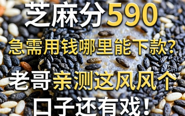 芝麻分590，急需用钱哪里能下款？老哥亲测这几个口子还有戏！