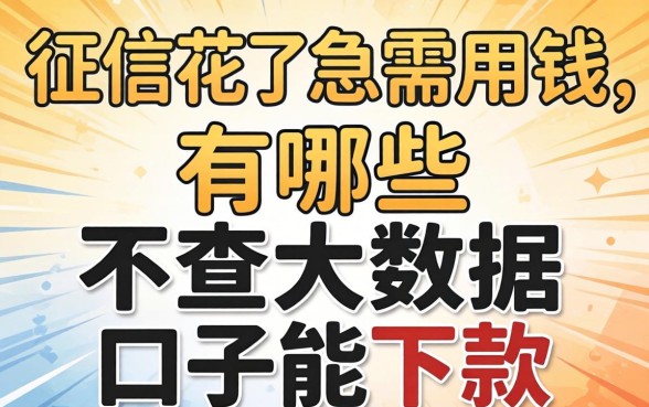 征信花了急需用钱，有哪些不查大数据的口子能下款？