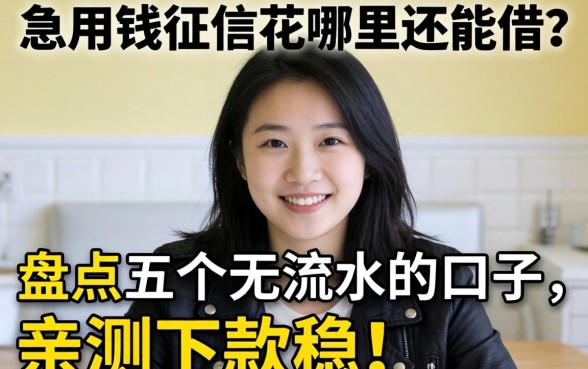 急用钱征信花哪里还能借？盘点五个无需流水的口子，亲测下款稳！