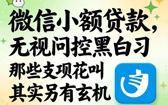 我试了微信小额贷款，发现那些无视风控黑白的花呗其实另有玄机