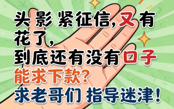 手头紧征信又花了,到底还有没有口子能下款?求老哥们指点迷津!