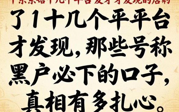 我试了十几个平台才发现,那些号称黑户必下的口子,真相有多扎心