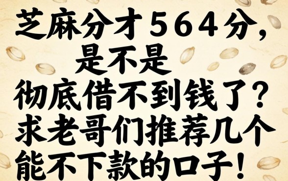 芝麻分才564分，是不是彻底借不到钱了？求老哥们推荐几个能下款的口子！