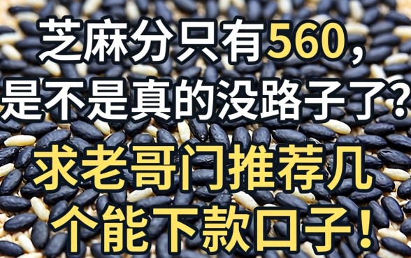 芝麻分只有560，是不是真的没路子了？求老哥们推荐几个能下款的口子！