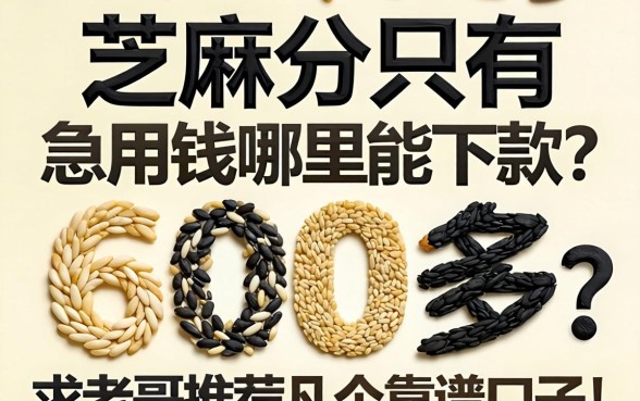 芝麻分只有600多,急用钱哪里能下款?求老哥推荐几个靠谱口子!