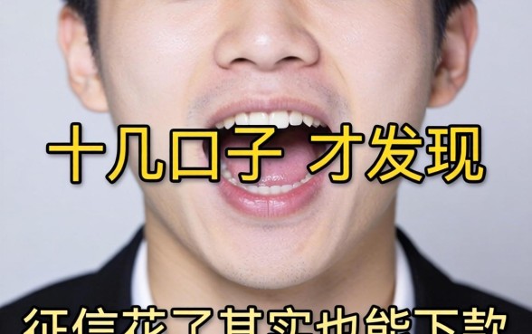 我翻了十几个口子才发现，征信花了其实也能下款