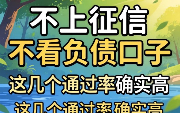 揭秘不上征信不看负债的口子，这几个通过率确实高