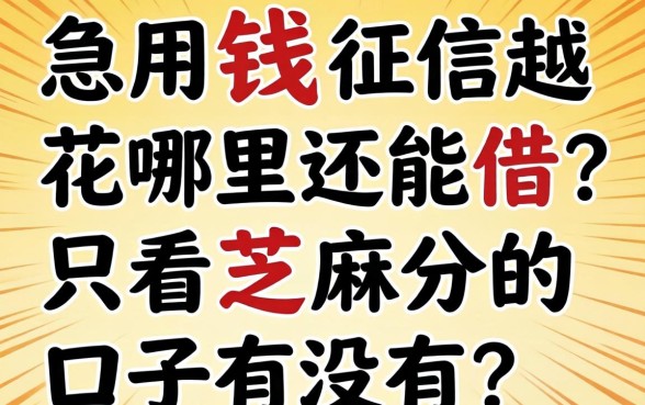 急用钱征信花哪里还能借？只看芝麻分的口子有没有？