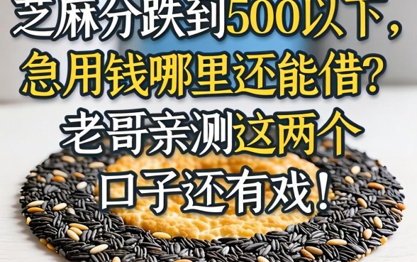 芝麻分跌到500以下，急用钱哪里还能借？老哥亲测这几个口子还有戏！