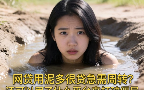 深陷网贷泥潭急需周转？用了很多网贷还可以用什么平台来打破僵局？