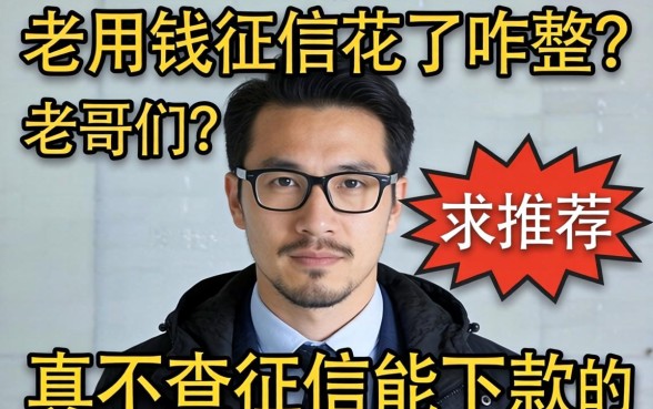 急用钱征信花了咋整?老哥们求推荐几个真不查征信能下款的路子!