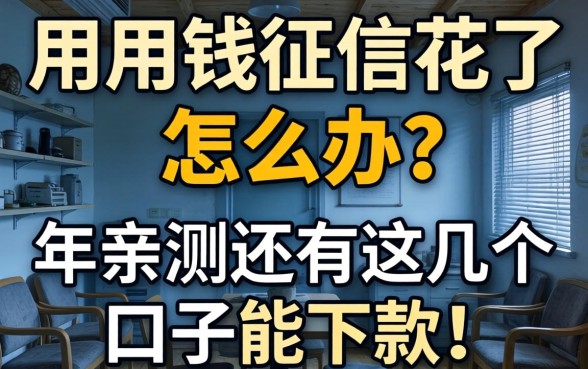 急用钱征信花了怎么办?2026年亲测还有这几个口子能下款!