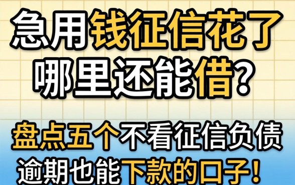 急用钱征信花了哪里还能借?盘点五个不看征信负债逾期也能下款的口子!